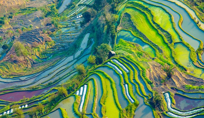 宝妈必备神器：安义县产品视频拍摄轻松育儿好帮手