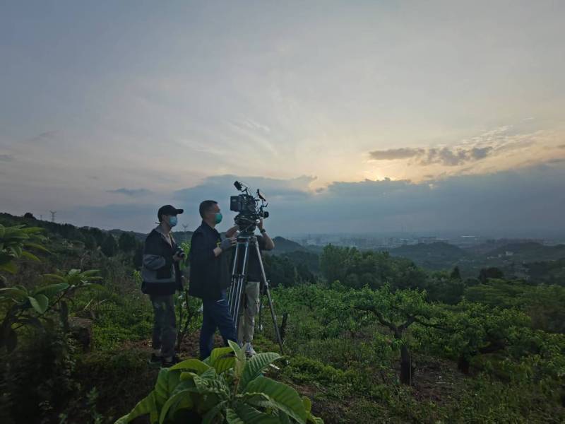 创意破圈！安义县电商产品宣传视频用故事化叙事引爆流量